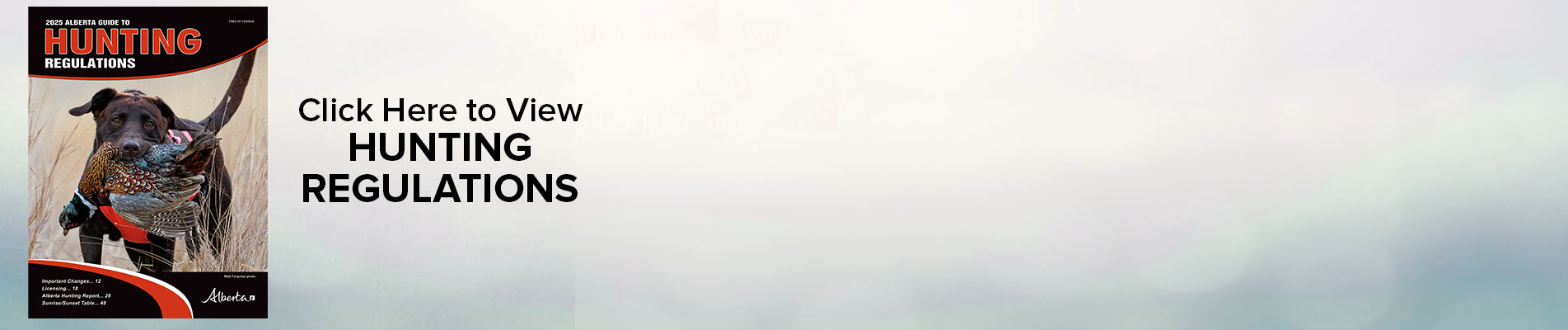 AB-2025- Hunting- Carousel