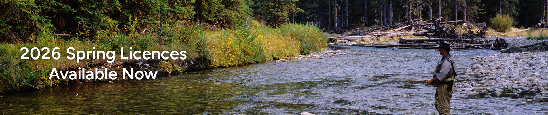 AB- CARIMG-2026- Licences