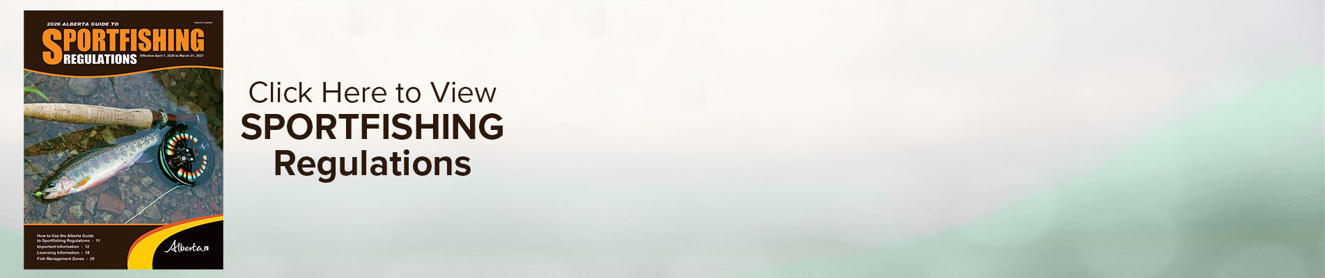 AB- CARIMG-202603- Regulations- Black