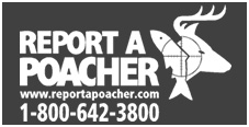 Report a Poacher
